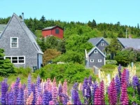 School House & Beach House 