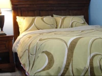2 BR Suite Near Skytrain and SFU 