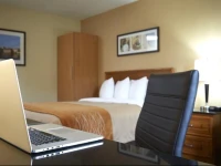 Comfort Inn Airport East 