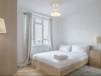 Bed Penthouse Apartment In Old Street 