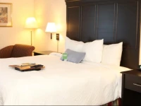 Hampton Inn Toronto-Mississauga 