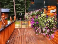 Mount Robson Lodge 