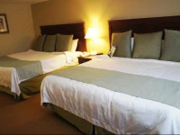 Quality Inn and Suites 