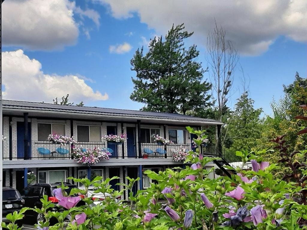 Blue Moon Motel 