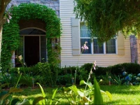 Panache Bed and Breakfast 