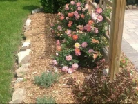 Bogarts B&B 