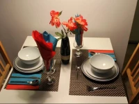 Adib Apartments - 224 Woodroffe Ave, Unit 4 (Basement) 