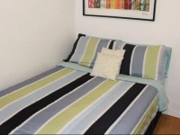 Adib Apartments - 362 Friel St, Unit 19 