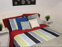 Adib Apartments - 931 Pinecrest Rd, Unit B (Basement) 