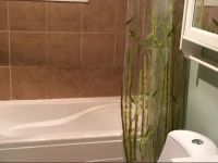Walia Suite 