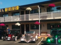 Paradise Seashell Motel 