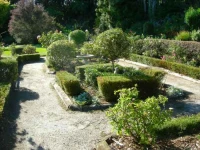 Bird Gardens 