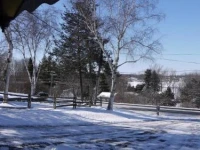 Lazy Dayz Vacation Rental 