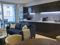 Luxurious Designer apartment 