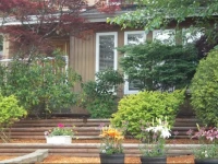 Backwoods Cottage 