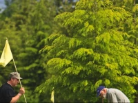 Cedar Park Resort and Golfing 