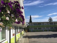 The Cedars Motel 