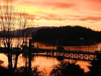 Whiskey Point Resort 