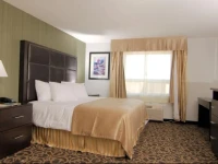 Paradise Inn and Suites 