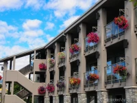 Accent Inns Vancouver Airport 
