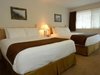 Swiss Chalet Motel 
