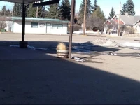 Rimbey Motor Inn 