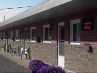 Trunk Road Motel 