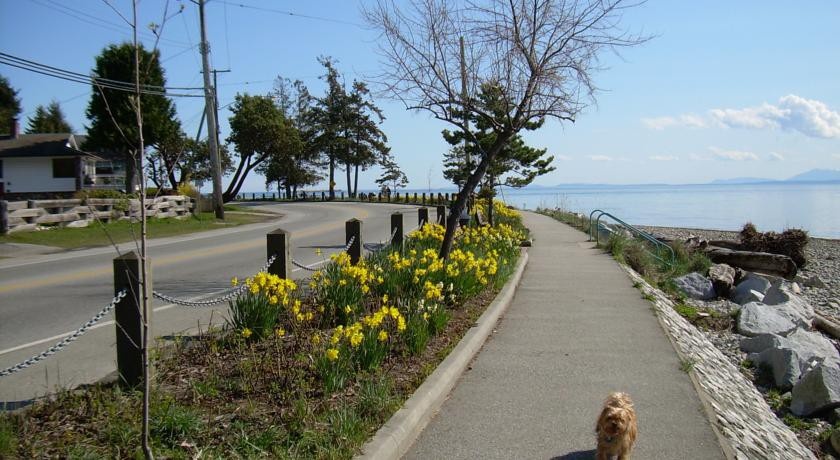 Davis Bay Bed & Breakfast 