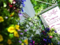 The Stuffed Dormouse Hotel 