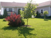 Corrigan Bed & Breakfast 
