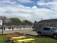 The White Horse Motel 