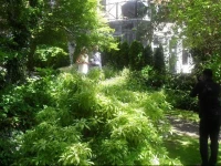 The Latch Inn 