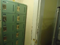Newman House Hostel 