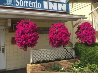 Sorrento Inn Motel 