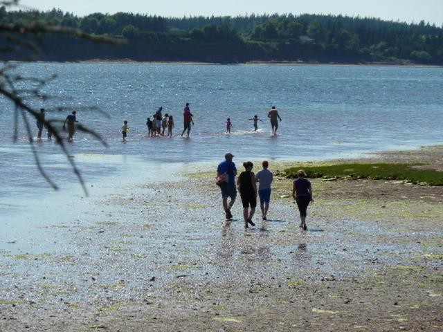 Beach & Breeze Cottages 