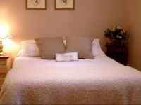 The Suite 