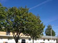 Bakers Lighthouse Motel 2*