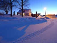 Forest Haven Inn 