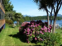 Tofino Motel Harbourview 