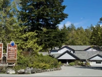 Jamies Rainforest Inn 
