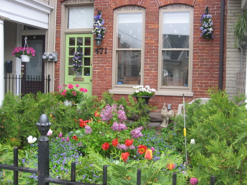 Cabbageville Bed and Beverage 