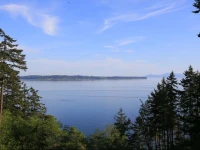 Sea Cliff 