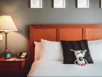Summit Lodge Boutique Hotel Whistler 