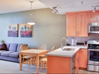Luxury One Room Ski In/Out Lodge 