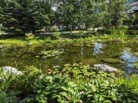 Stoney Creek Sunpath by Westwind Properties 