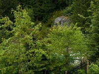 Taluswood 