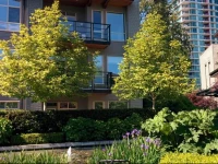 UBC Vacation Apartment 