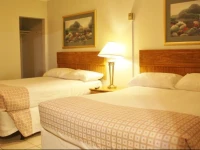 Tulip Motel 2*