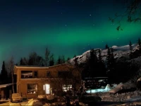 Narwal B&B 
