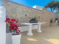 Anemos Studios 
